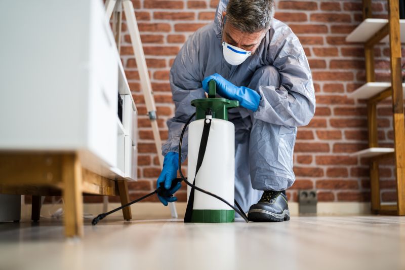 Moth Extermination in Katy, TX